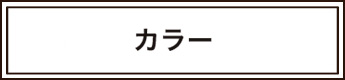 カラーの料金へ