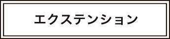 エクステンションの料金へ